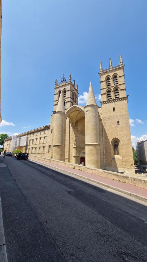 Le Petit Olivier En Coeur De Ville + Parking Incl. モンペリエ エクステリア 写真
