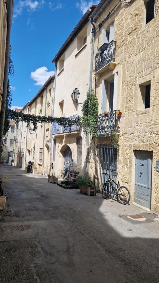 Le Petit Olivier En Coeur De Ville + Parking Incl. モンペリエ エクステリア 写真